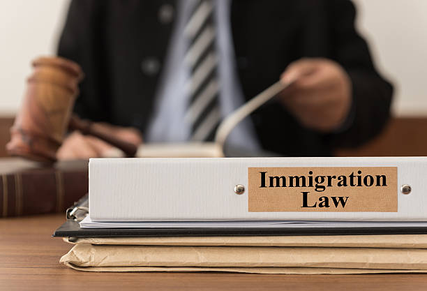 What to Expect from a Pro Bono Immigration Lawyer: A Practical Guide